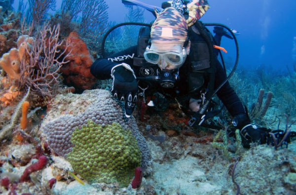 Pacific coral reef shows some ability to cope with ocean warming