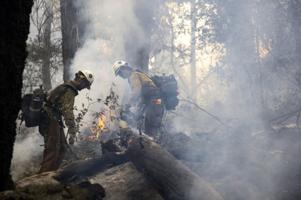 U.S. spending billions to reduce forest fire risks; it's not enough