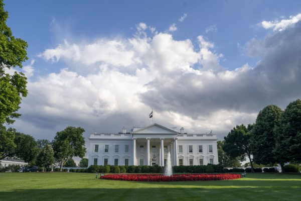 Absolute immunity: Absolute catastrophe? Absolute immunity: Absolute catastrophe?