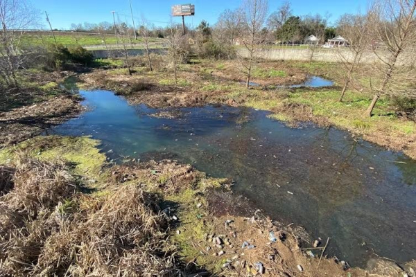Montgomery, Ala., parks still reflect history of segregation