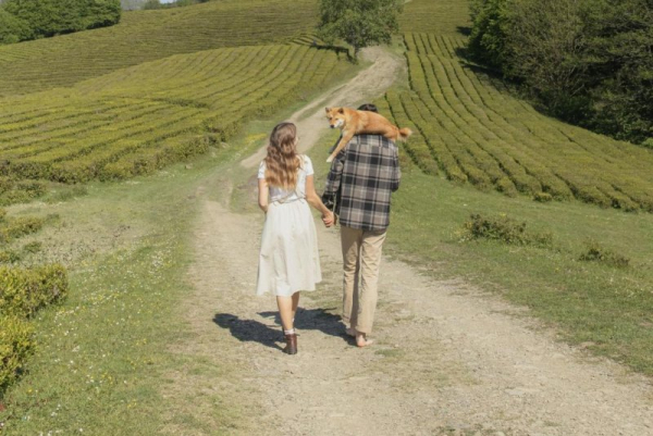 Voters without kids aren't all the same, have different political priorities