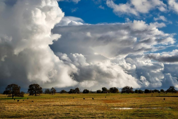 'Yellowstone' highlights Montana's forgotten ties to the Confederacy 'Yellowstone' highlights Montana's forgotten ties to the Confederacy