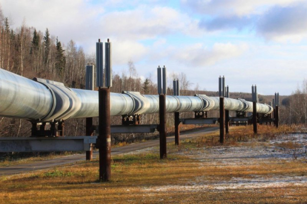 Arctic wildlife at risk if Trump expands drilling in Alaska Arctic wildlife at risk if Trump expands drilling in Alaska