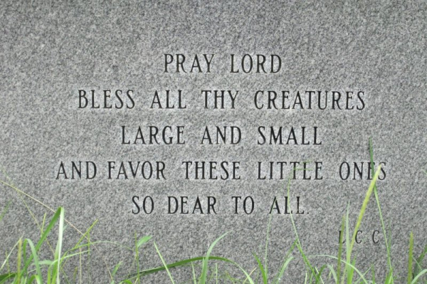 The 3 worst things you can say after a pet dies; what to say instead The 3 worst things you can say after a pet dies; what to say instead