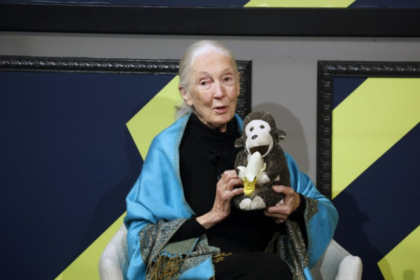 Chimpanzee researcher Jane Goodall redefined what it meant to be human