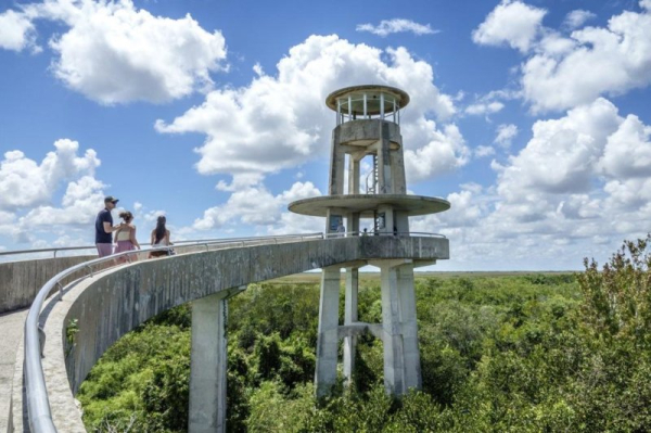 Natural World Heritage sites under threat, but bright spots remain