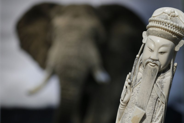 New technologies stepping up the fight against wildlife trafficking