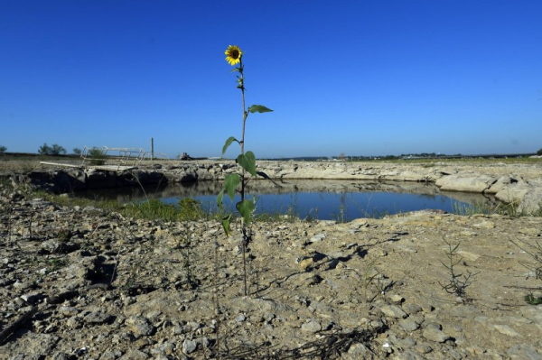 Texas, Okla. ranchers brace for harsh summer after 6th year of drought