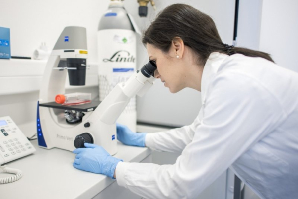 China surpasses U.S. in research spending