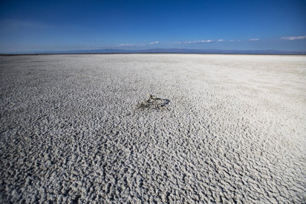 Dust from California's shrinking Salton Sea is harming lung growth