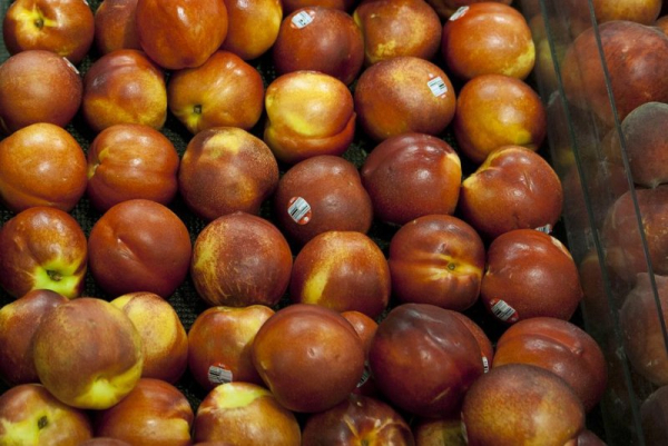 Fungal disease, climate change threaten Colorado's prized peaches